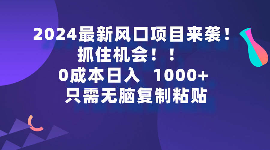 （9899期）2024全新蓝海项目来临，把握机会，0成本费一部手机日入1000 ，仅需没脑子复…-9527素材资源站