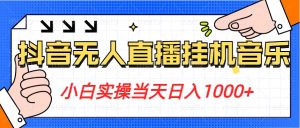 小白实操当天日入1000+，抖音24小时无人直播音乐，不违规，不封号纯撸音浪-9527素材资源站