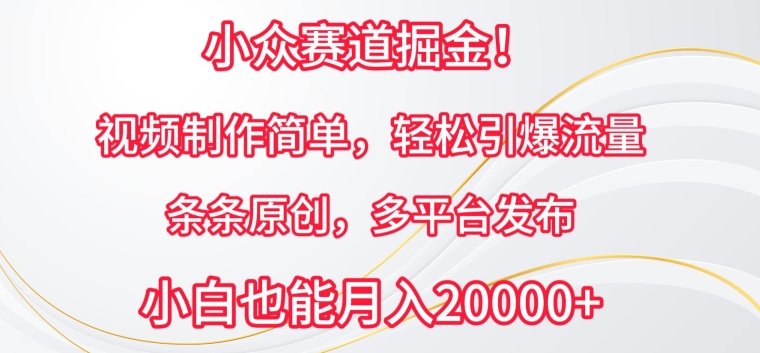 小众赛道掘金，视频制作简单，轻松引爆流量，条条原创，多平台发布【揭秘】-9527素材资源站