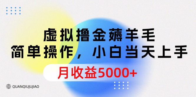 （9864期）虚似撸金撸羊毛，易操作，新手当日入门，月盈利5000-9527素材资源站