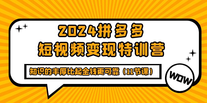 （9817期）2024拼多多平台短视频变现夏令营，知识丰富相比钱财更有保障（11堂课）-9527素材资源站