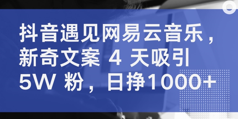 抖音遇见网易云音乐，新奇文案 4 天吸引 5W 粉，日挣1000+【揭秘】-9527素材资源站