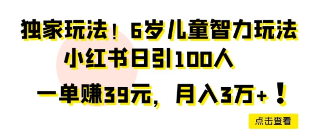独家玩法，6岁儿童智力玩法，小红书日引100人-9527素材资源站