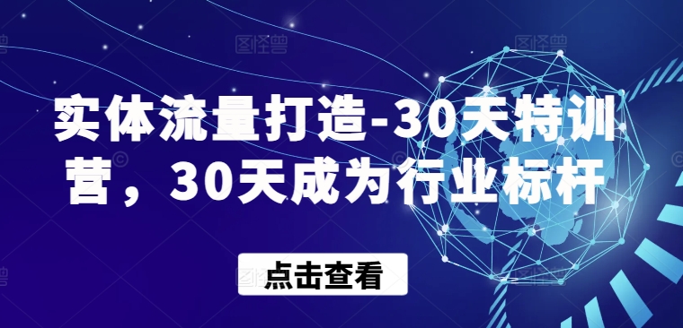 实体流量打造-30天特训营，30天成为行业标杆-9527素材资源站