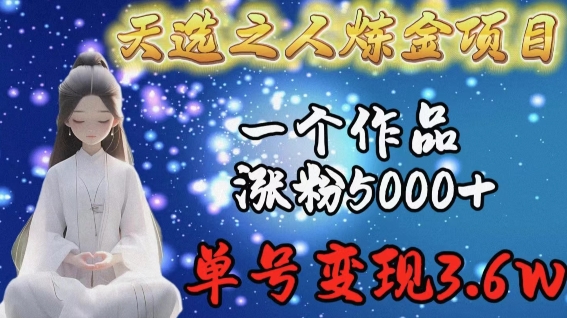 天选之人炼金项目，一个作品涨粉5000+，单号变现3.6w【揭秘】-9527素材资源站