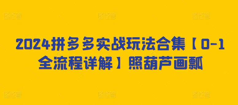 2024拼多多实战玩法合集【0-1全流程详解】照葫芦画瓢-9527素材资源站
