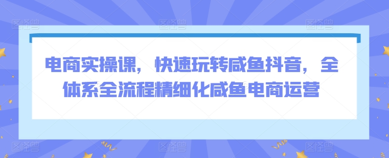 电商实操课，快速玩转咸鱼抖音，全体系全流程精细化咸鱼电商运营-9527素材资源站