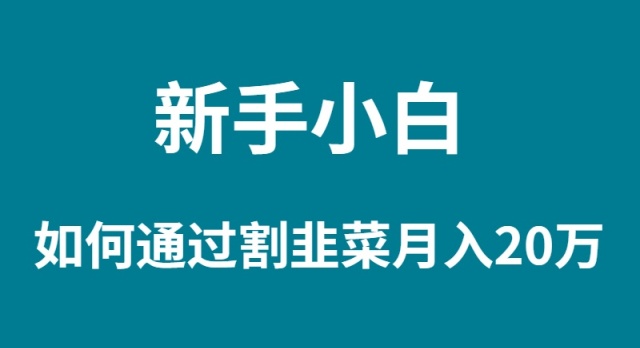 （9308期）新手入门怎样通过当韭菜割月入 20W-9527素材资源站