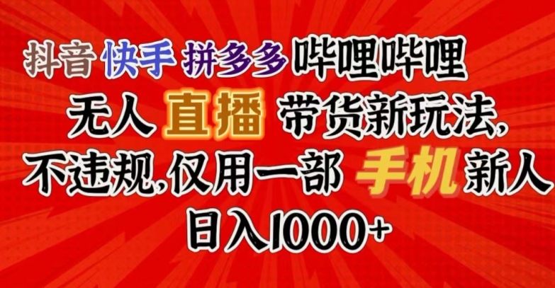 抖音快手拼多多哔哩哔哩无人直播带货新玩法，不违规，仅用一部手机新人日入1000+-9527素材资源站