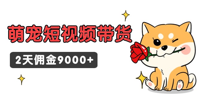 （9273期）东哲日记·萌宝短视频卖货，2天提成9000-9527素材资源站