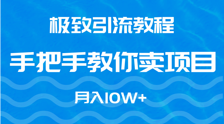 （9265期）完美引流教程，教你如何卖项目，月入10W-9527素材资源站