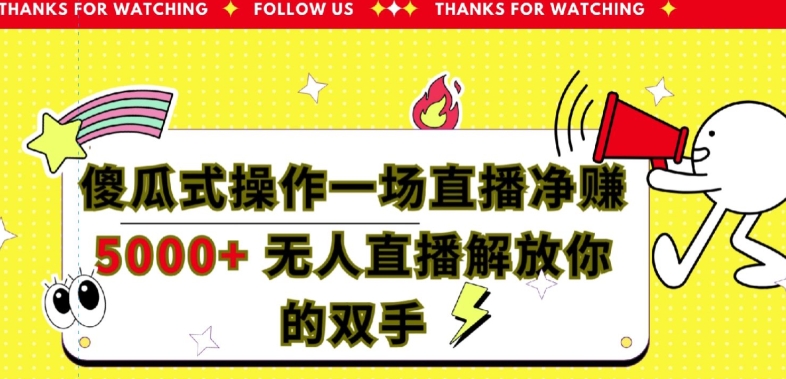 傻瓜式操作一场直播净赚5000+无人直播解放你的双手-9527素材资源站