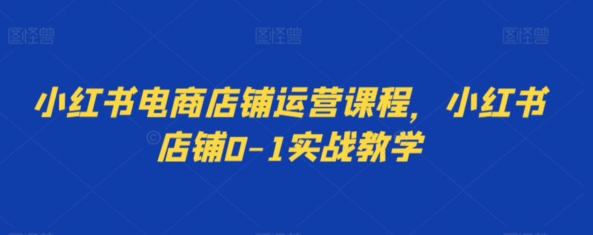 小红书电商店铺运营课程，小红书店铺0-1实战教学-9527素材资源站