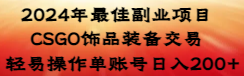 （8941期）2024年最好兼职副业 CSGO装饰品游戏交易 随便实际操作单账户日入200-9527素材资源站
