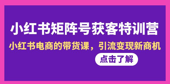 （8909期）小红书的-矩阵账号拓客夏令营-第10期，小红书电商的卖货课，引流变现商机-9527素材资源站