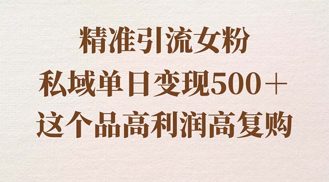 （8742期）精准引流方法女友粉，公域单日转现500＋，高成本低回购，家庭保姆级实际操作软件教程-9527素材资源站
