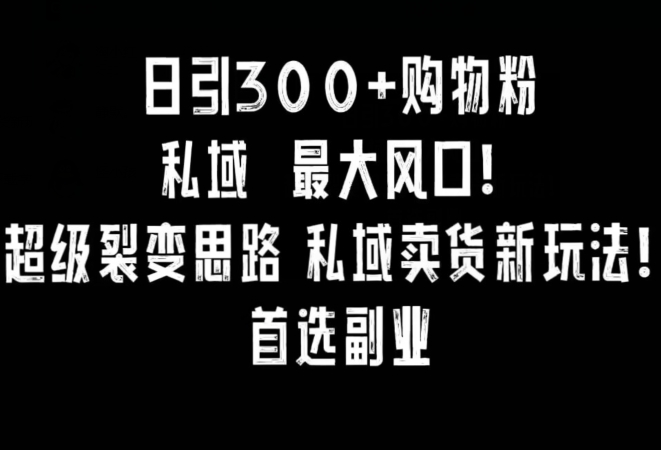 日引300+购物粉，超级裂变思路，私域卖货新玩法，小红书首选副业【揭秘】-9527素材资源站