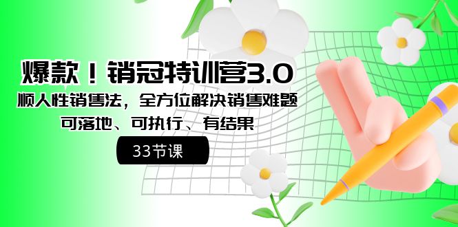 （8573期）爆品！销售冠军夏令营3.0之顺人的本性销售法，多方位处理市场销售难点、可落地式、可执…-9527素材资源站