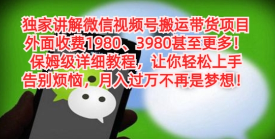 独家讲解微信视频号搬运带货项目，保姆级详细教程-9527素材资源站