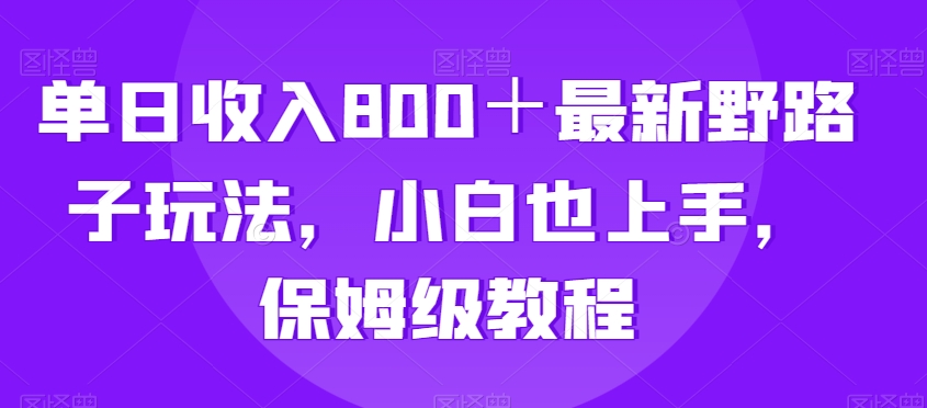 单日收入800＋最新野路子玩法，小白也上手，保姆级教程-9527素材资源站