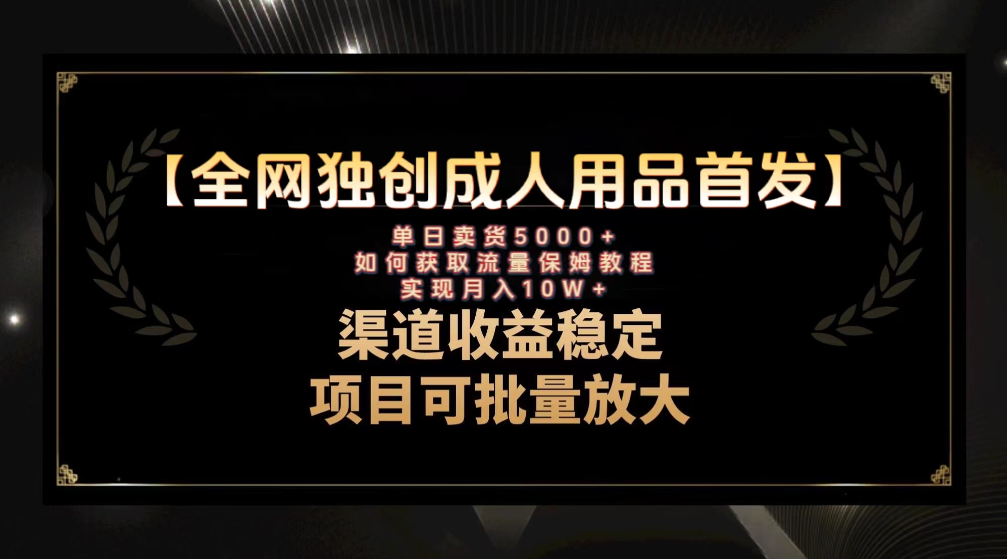 （8128期）全新各大网站独创性先发，两性用品跑道引流方法拓客，月入10w家庭保姆级实例教程-暖阳网-优质付费教程和创业项目大全-9527素材资源站