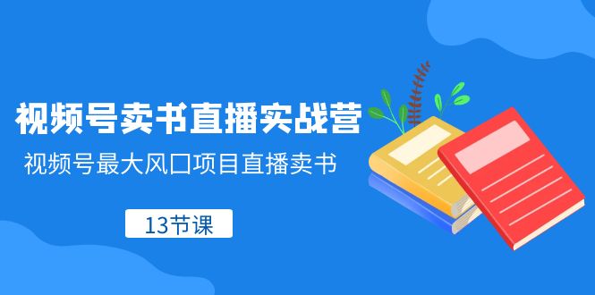 （8080期）微信视频号-开书店直播间实战营，微信视频号较大风囗新项目直播卖书（13堂课）-暖阳网-优质付费教程和创业项目大全-9527素材资源站
