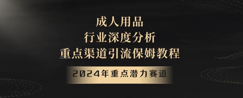 2024年重点潜力赛道，成人用品行业深度分析，重点渠道引流保姆教程【揭秘】-9527素材资源站