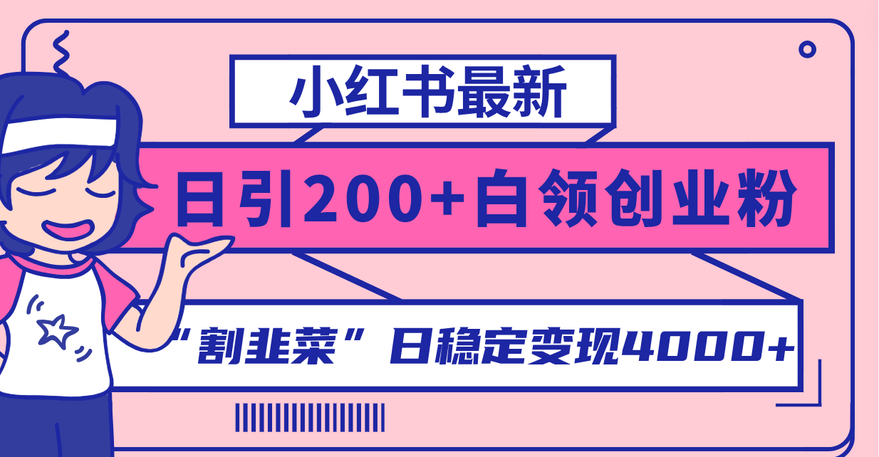 （8052期）小红书的全新日引200 自主创业粉”当韭菜割“日平稳转现4000 实际操作实例教程！-暖阳网-优质付费教程和创业项目大全-9527素材资源站