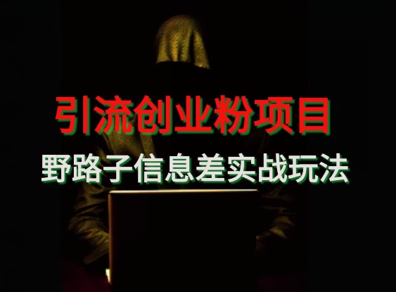 【引流创业粉】野路子信息差玩法实战教学-9527素材资源站