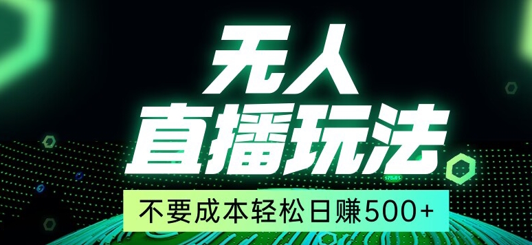 全网首发24年最新无人直播玩法，不需要成本，无需人力，一台电脑24小时为你工作-9527素材资源站