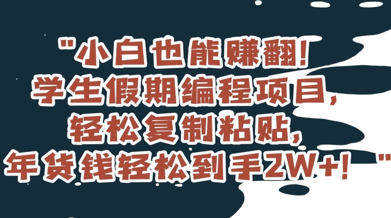 小白也能赚翻！学生假期编程项目，轻松复制粘贴，年货钱轻松到手2W+【揭秘】-9527素材资源站