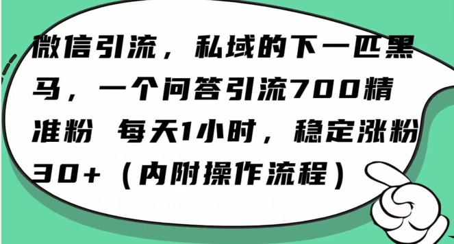 怎么搞精准创业粉？微信新赛道，每天一小时，利用Ai一个问答日引100精准粉-9527素材资源站