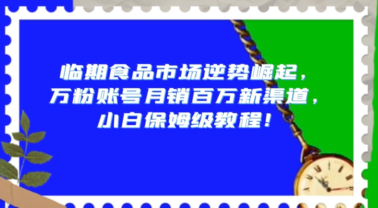 临期食品市场逆势崛起，万粉账号月销百万新渠道，小白保姆级教程【揭秘】-9527素材资源站