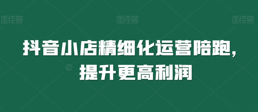 抖音小店精细化运营陪跑，提升更高利润-9527素材资源站