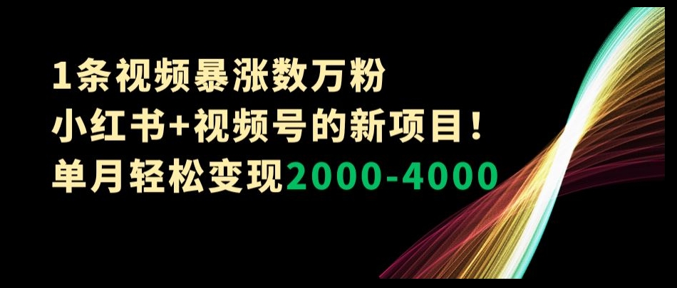 1条视频暴涨数万粉–小红书+视频号的新项目！单月轻松变现2000-4000【揭秘】-9527素材资源站