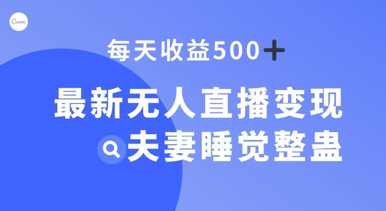 全新没有人引流变现，夫妻睡觉搞恶，每日躺着赚钱500 【揭密】-9527素材资源站