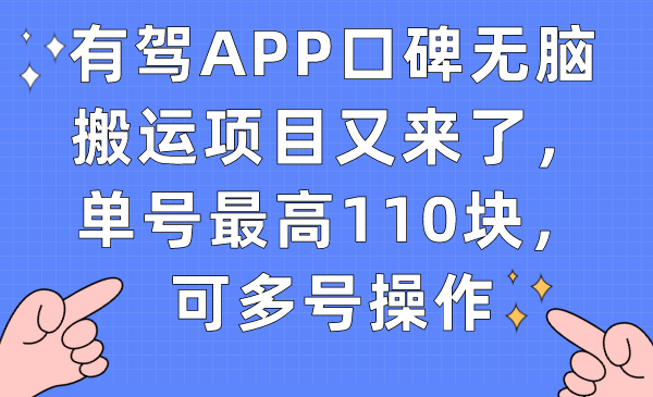 （7314期）有驾APP用户评价没脑子运送新项目再次来了，运单号最大110块，可以多号实际操作-9527素材资源站