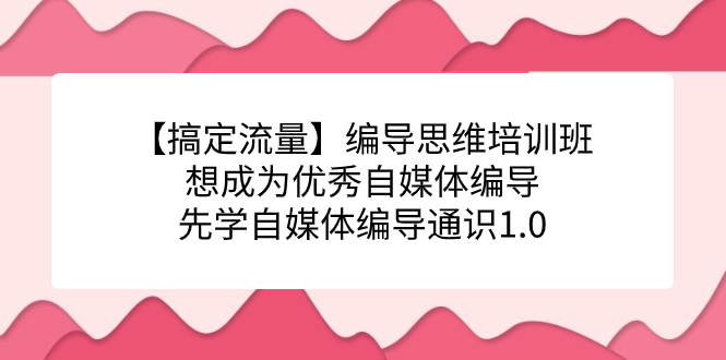 （7281期）【解决总流量】导演逻辑思维培训机构，要成为出色自媒体平台导演先学自媒体编导通识类1.0-9527素材资源站