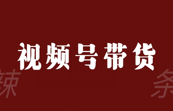 视频号带货同盟，赚信息不对称的卖货钱，仅需手机上随时随地都能做！-暖阳网-优质付费教程和创业项目大全-9527素材资源站
