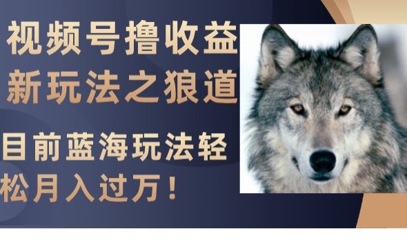 视频号撸收益新玩法之狼道，目前蓝海玩法，轻松月入过万【揭秘】-暖阳网-优质付费教程和创业项目大全-9527素材资源站