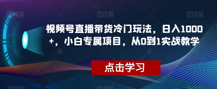 微信视频号直播卖货小众游戏玩法，日入1000 ，新手专享新项目，从0到1实战教学【揭密】-暖阳网-优质付费教程和创业项目大全-9527素材资源站
