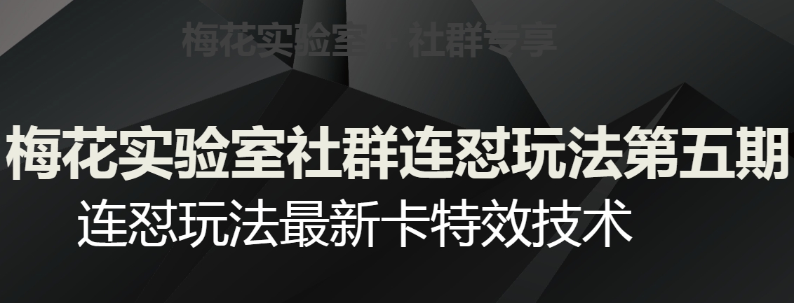 红梅花试验室社群营销连怼游戏玩法第五期，微信视频号连怼游戏玩法全新卡特效技术-9527素材资源站