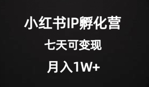 使用价值2000 的小红书IP卵化营新项目，超大瀚海，七天即可进行转现，平稳月入1W-9527素材资源站