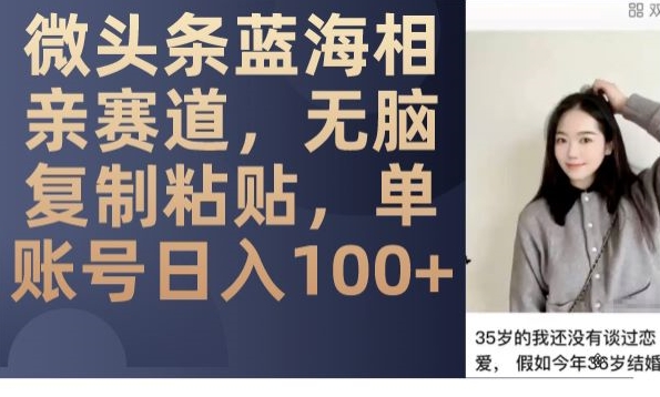 头条瀚海相亲约会跑道，没脑子拷贝，单账户日入100-9527素材资源站