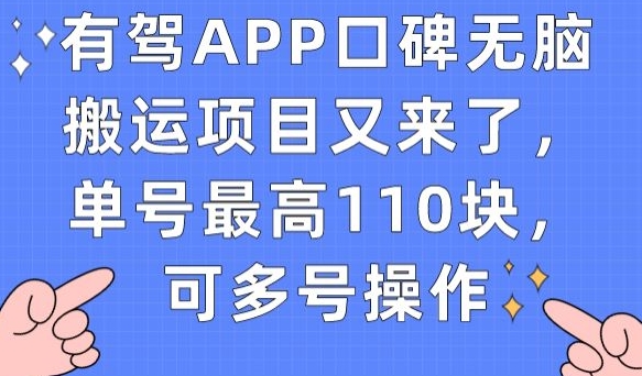 有驾APP用户评价没脑子运送新项目再次来了，运单号最大110块，可以多号实际操作-9527素材资源站