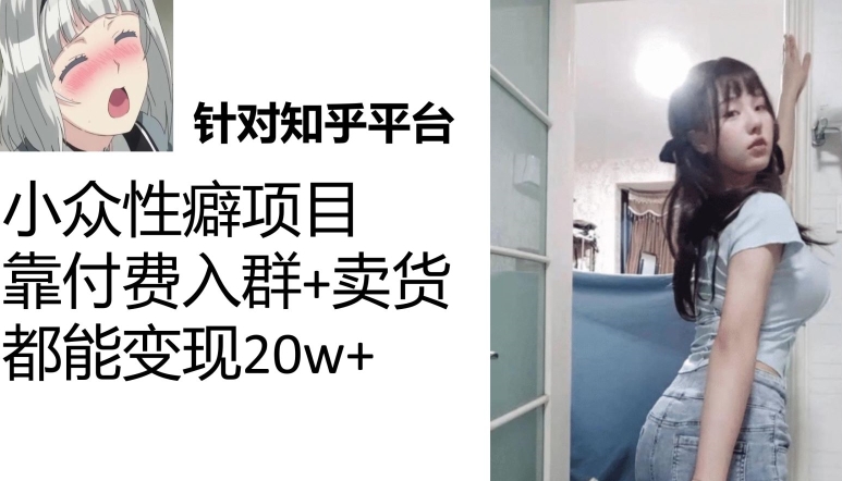 一个月入袋3w，知乎问答冷门癖好新项目，Lsp钱才是最好挣的【揭密】-9527素材资源站