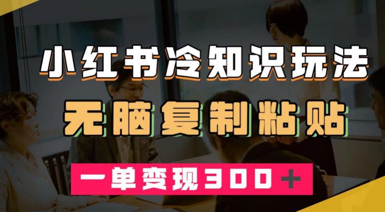 小红书冷知识玩法，无脑复制粘贴，一单变现300＋-9527素材资源站