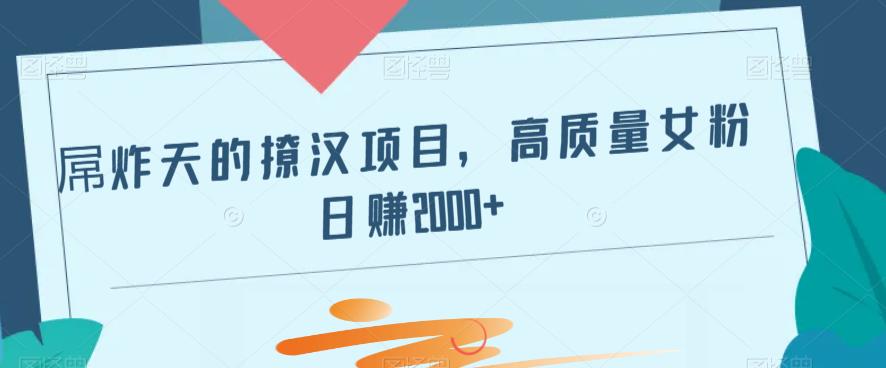 吊炸天的撩人新项目，高品质女友粉日赚2000-9527素材资源站