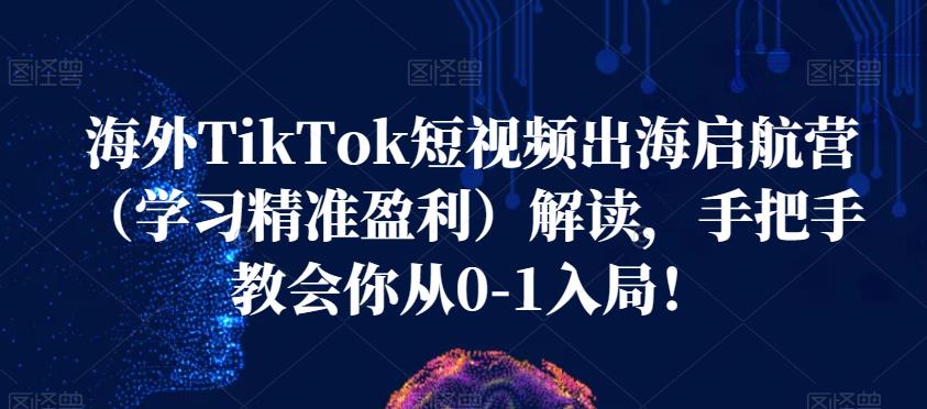 海外TikTok短视频出海启航营（学习精准盈利）解读，手把手教会你从0-1入局！-9527素材资源站
