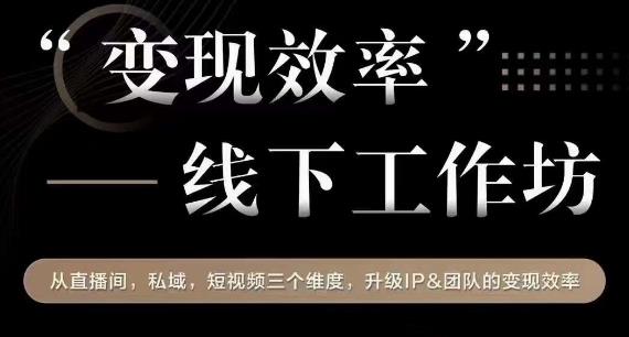 变现高效化线下讨论会，从播直间、公域流量、视短频个三维度，升级IP和团队变现高效化-9527素材资源站